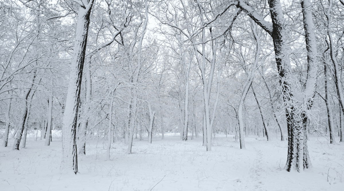 Why Your Skin Needs a Cold Weather Routine