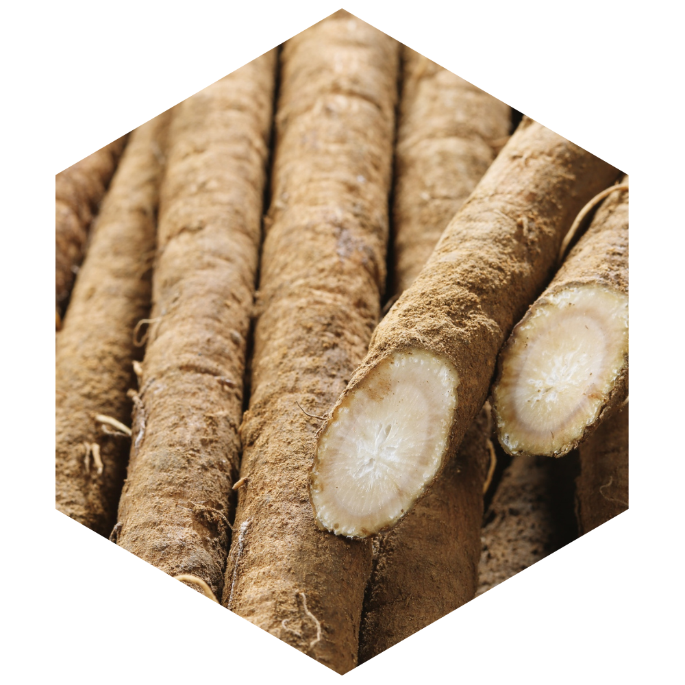 Close-up of a root vegetable with a hexagonal border