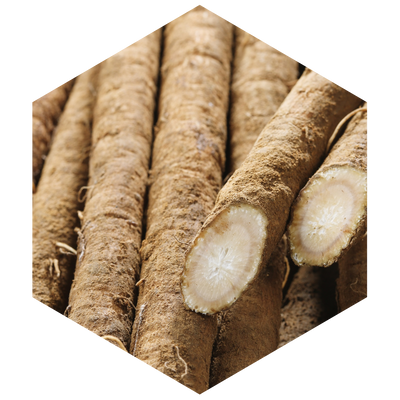 Close-up of a root vegetable with a hexagonal border