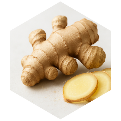 Whole ginger root and sliced ginger on a white background