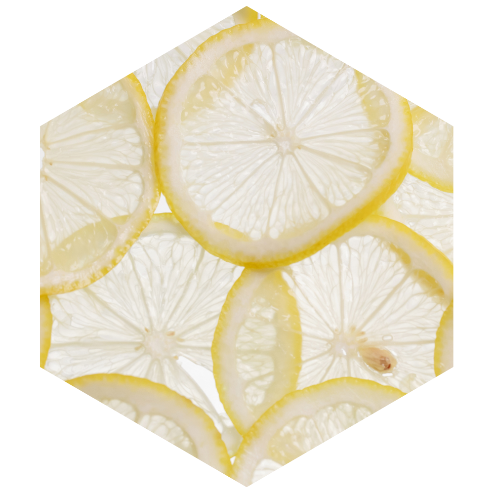 Hexagonal tile with sliced lemon design on a white background