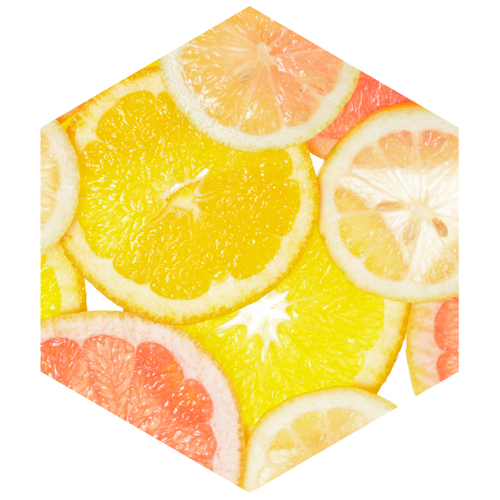Hexagonal tile with sliced citrus fruits on a white background